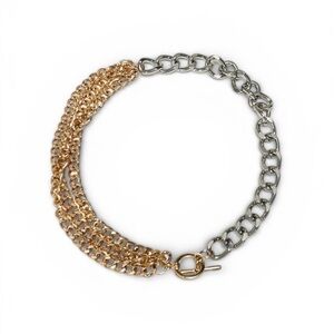Justine Clenquet Two-Tone Anna Chain Necklace in Gold & Silver